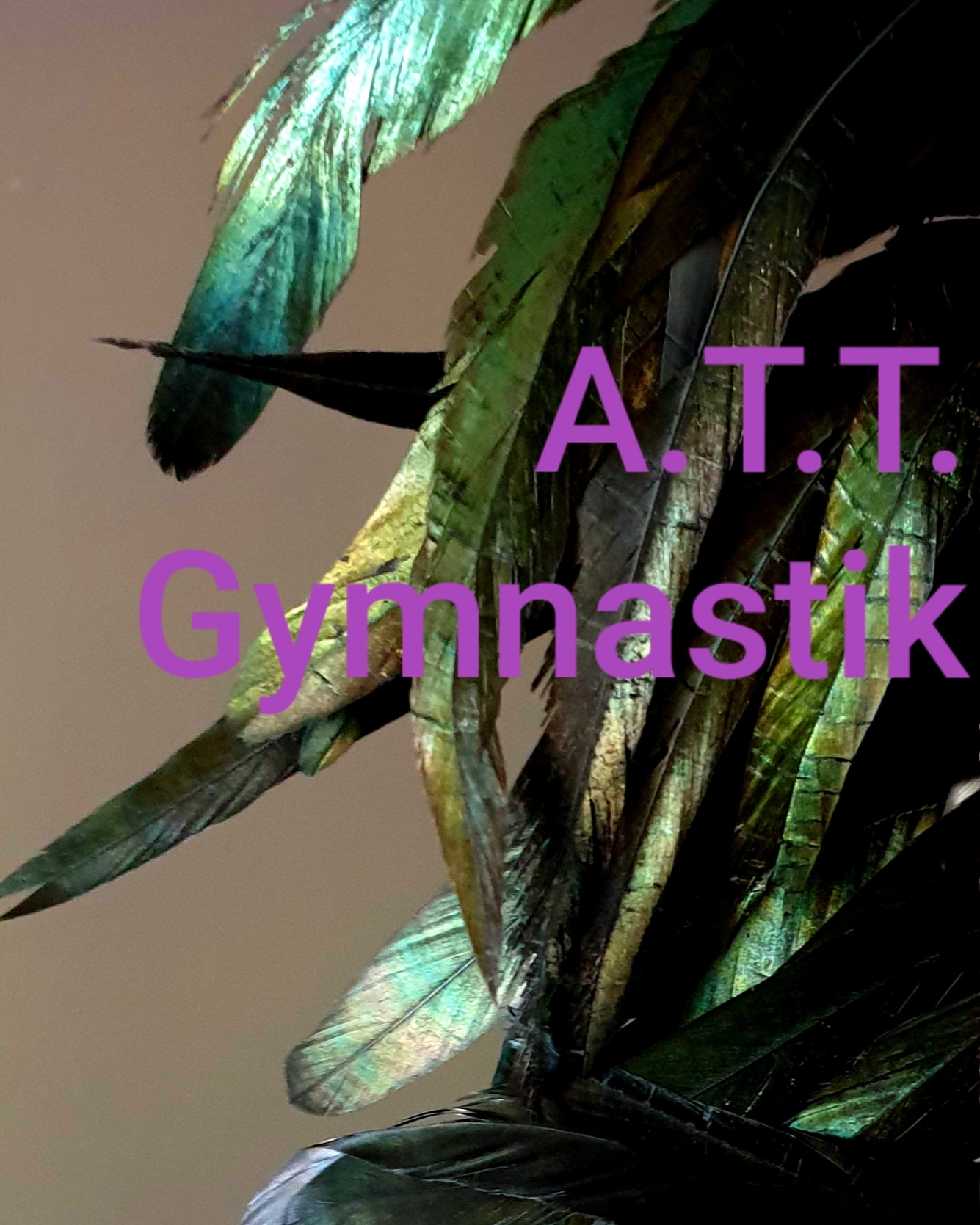 Step Choreografie der A.T.T. Gymnastik